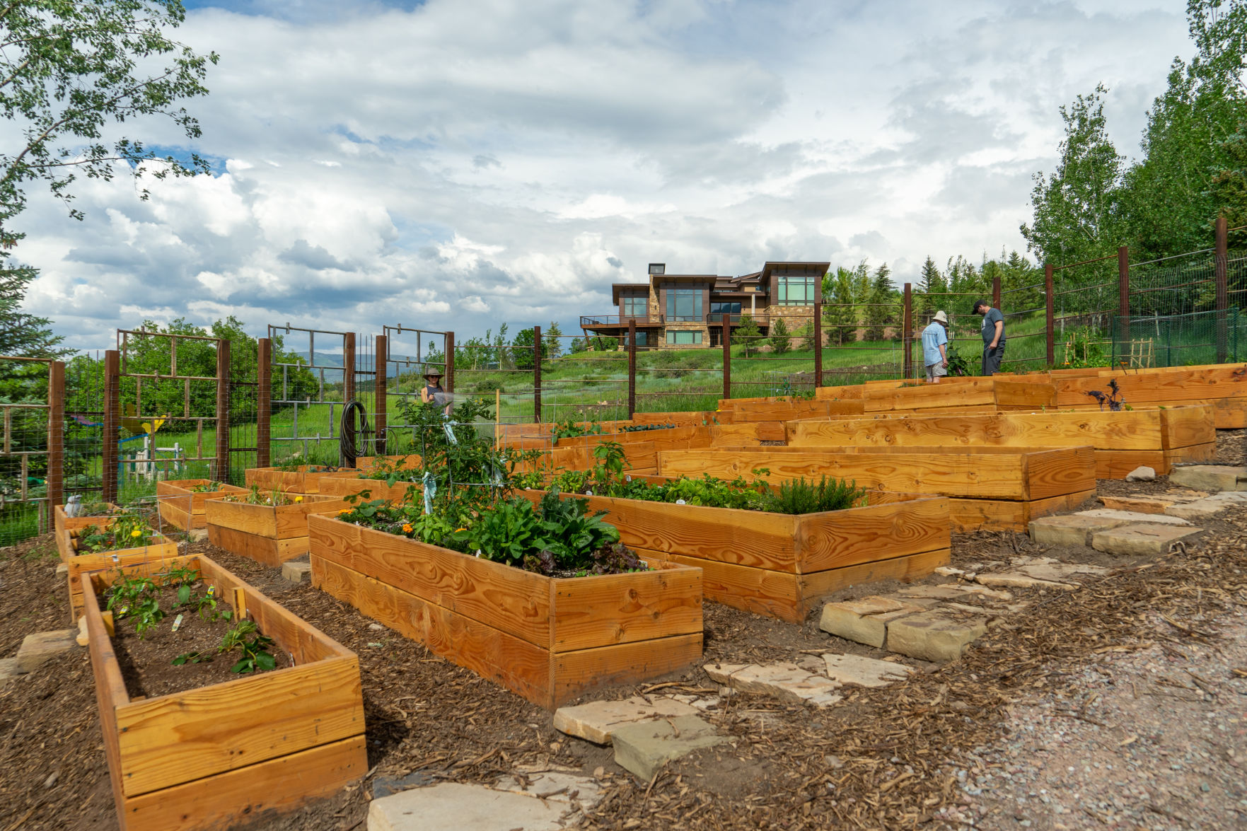 Snowmass Garden